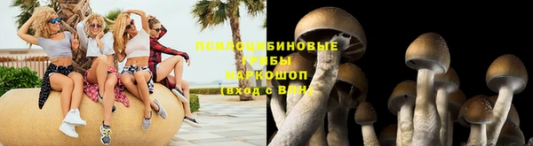 spice Армянск