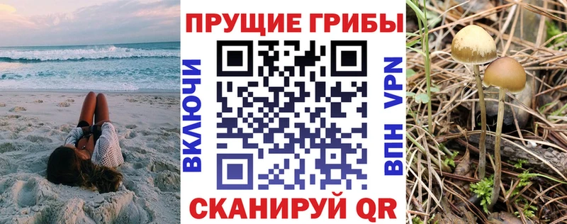 Псилоцибиновые грибы прущие грибы  Купить где  Феодосия 